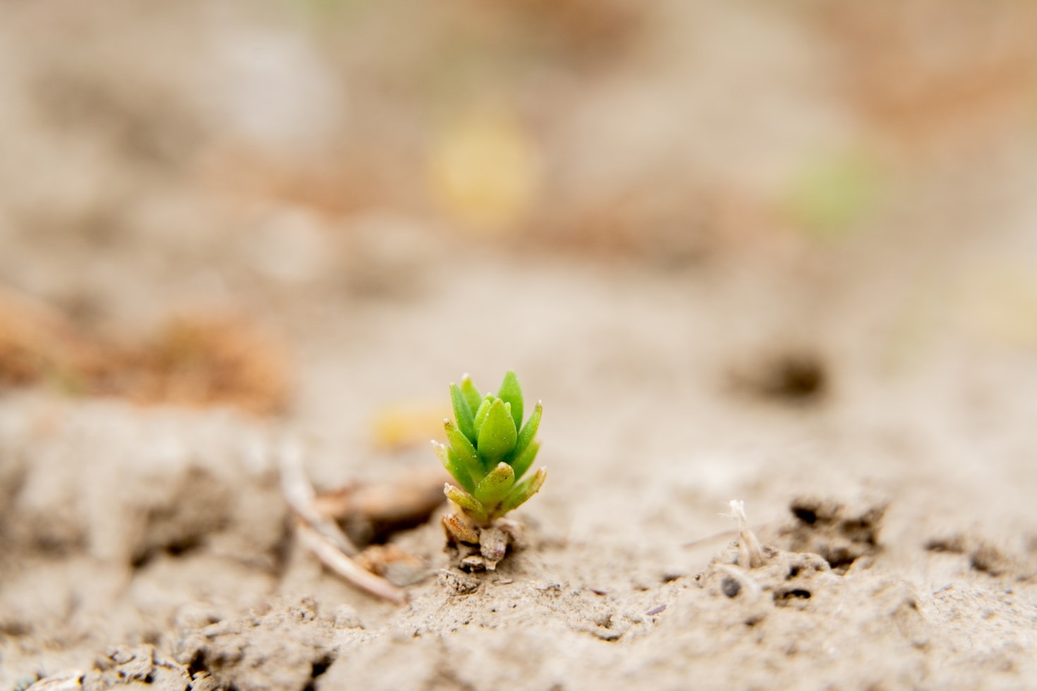 5 Ways to Cultivate Authentic Connections