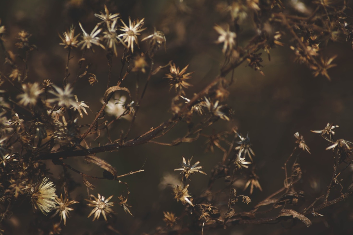 Why Intentional Living Leads to Greater Fulfillment